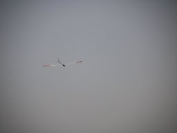 fliegen0903 55